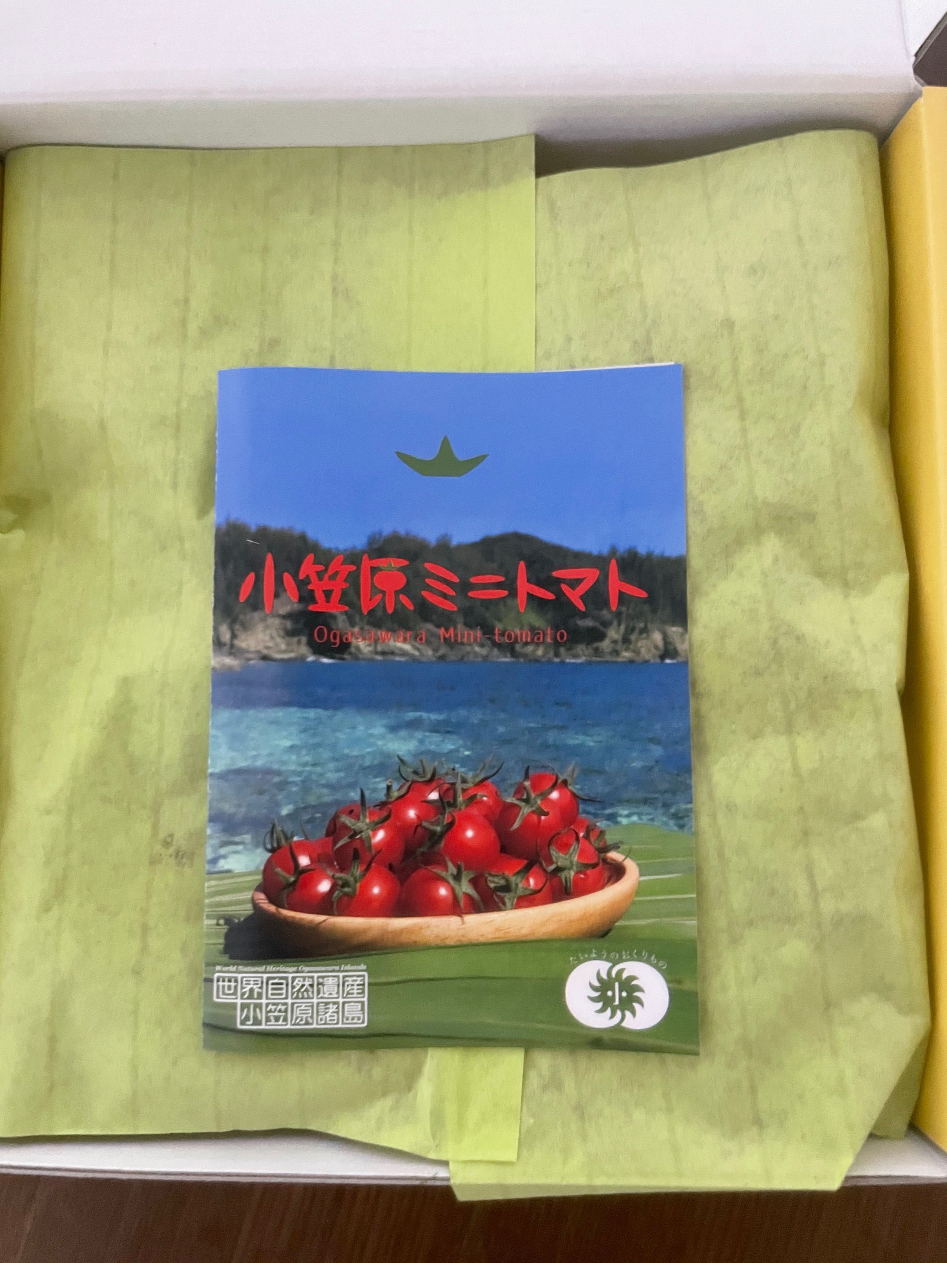 小笠原諸島　母島のミニトマト　甘い