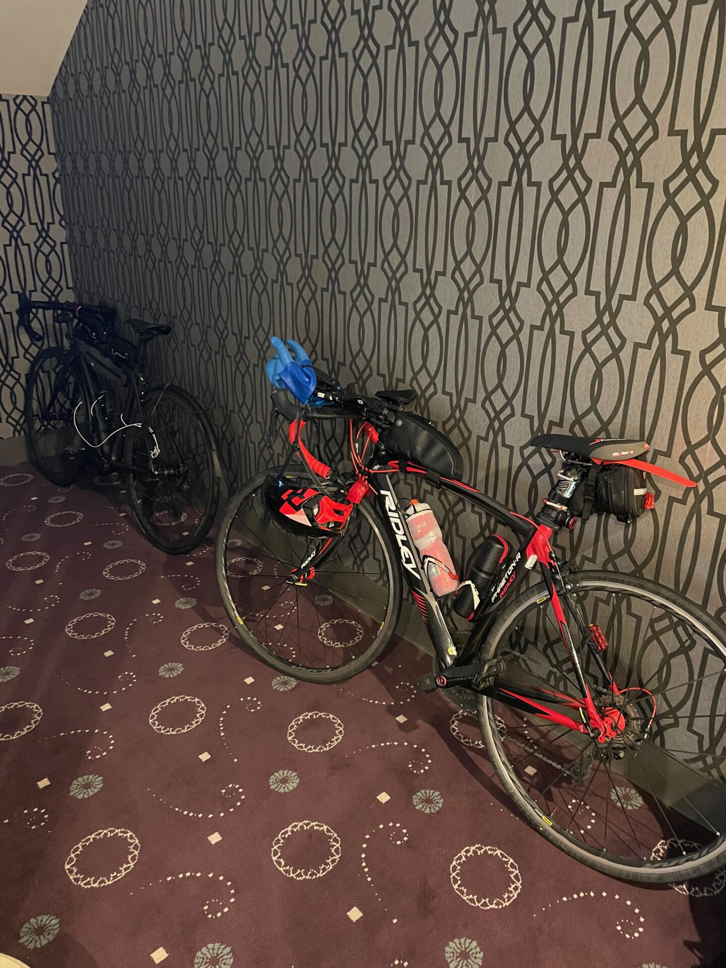 呉森沢ホテル　自転車持ち込み可