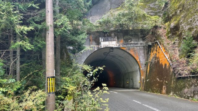 金剛山から奈良へサイクリング　