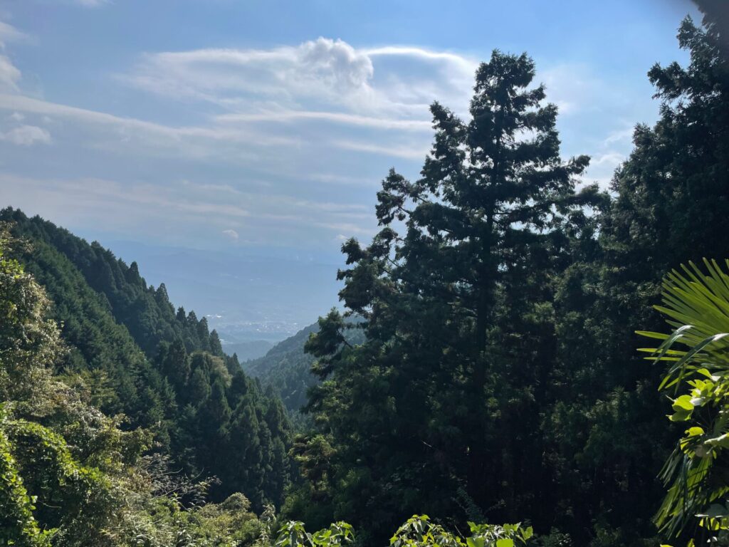 金剛山から奈良へサイクリング　景色